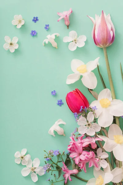 Bellissimi fiori primaverili su sfondo di carta — Foto Stock