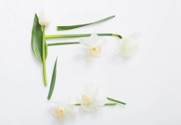 Flores da primavera no fundo branco — Fotografia de Stock