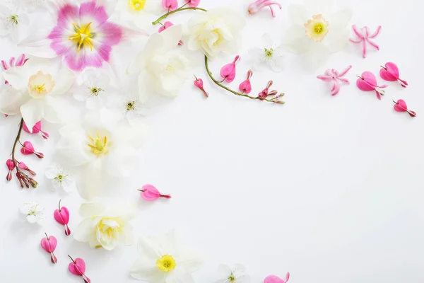 Spring flowers on white background — Stock Photo, Image