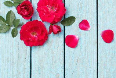 Mavi arka planda kırmızı güller