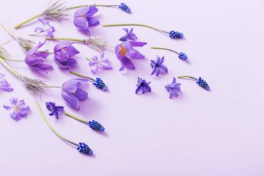 Kağıt arka plan bahar çiçekleri