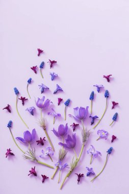 Kağıt arka plan bahar çiçekleri