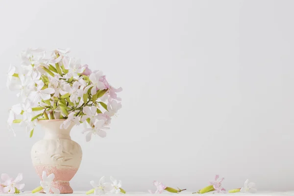 Bloemen Vaas Witte Achtergrond — Stockfoto