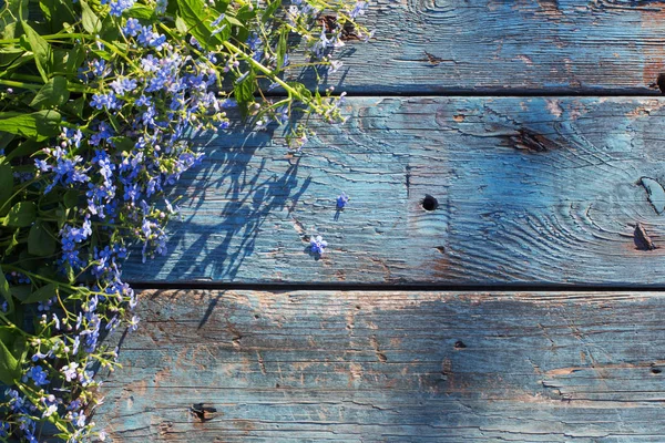 Fleurs Bleues Sur Fond Vieux Bois — Photo