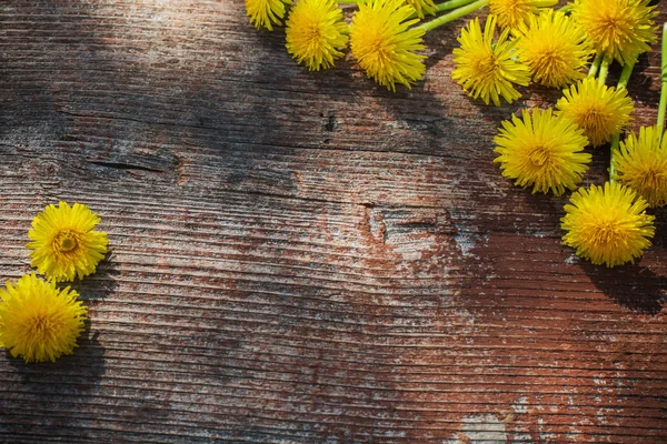 Diente León Sobre Fondo Madera Viejo —  Fotos de Stock