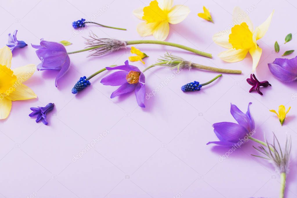 spring flowers on paper background