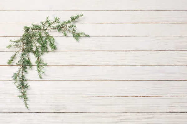 Gałęzie jałowca na białym drewnianym tle. Boże Narodzenie i nowe — Zdjęcie stockowe