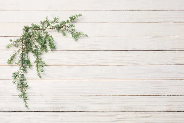 Ramas de enebro sobre un fondo de madera blanca. Navidad y Nuevo —  Fotos de Stock