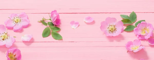 Marco de rosas rosadas sobre fondo de madera rosa — Foto de Stock