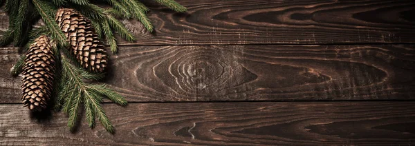 Ramos de abeto e cone no fundo de madeira velho escuro — Fotografia de Stock