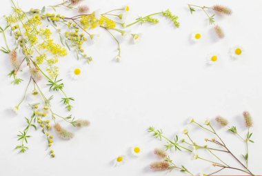 beyaz kağıt arka plan üzerinde kır çiçekleri 