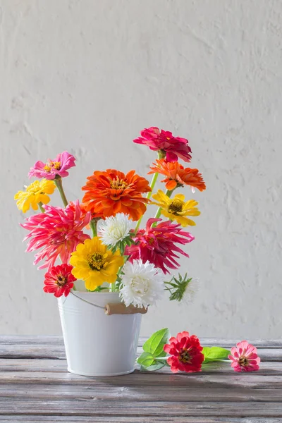 Zinnia bloemen in emmer op witte achtergrond — Stockfoto