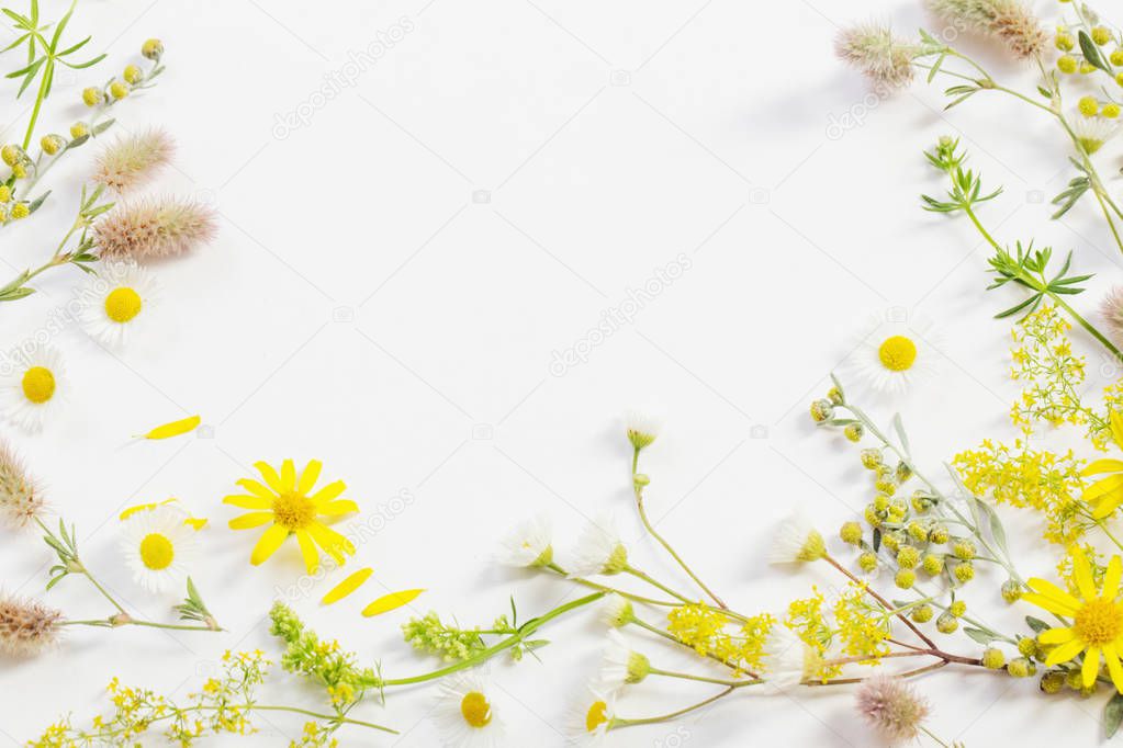 wildflowers on white paper background 