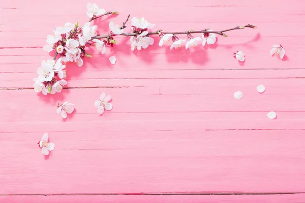 Flores de cerezo rosa sobre fondo de madera — Foto de Stock