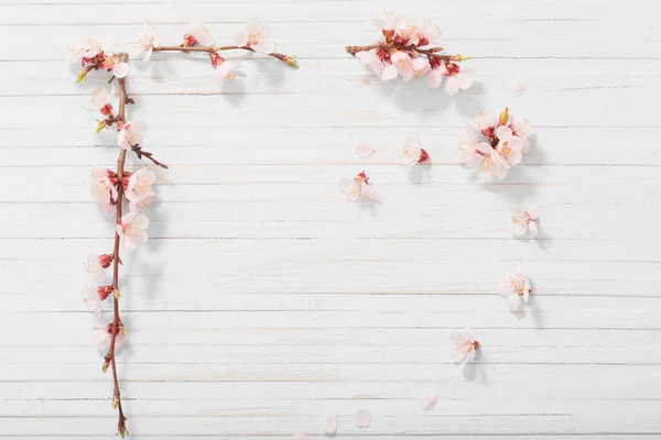 Ροζ άνθη κερασιάς σε λευκό ξύλινο φόντο — Φωτογραφία Αρχείου