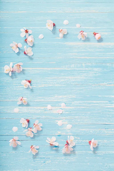 Rosafarbene Kirschblüten auf Holzgrund — Stockfoto