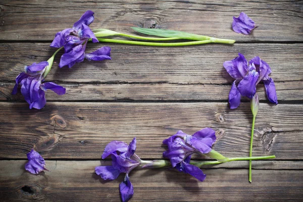 Iris violeta sobre fondo viejo de madera oscura —  Fotos de Stock
