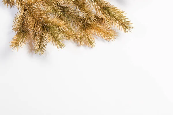 Goldene Tannenzweige auf weißem Hintergrund — Stockfoto