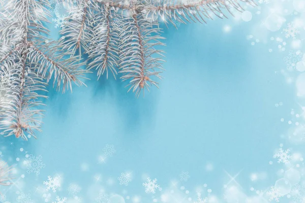Ramos de abeto de Natal no fundo de papel azul — Fotografia de Stock