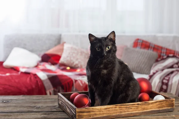 Ahşap masada Noel topu taşıyan siyah kedi. — Stok fotoğraf