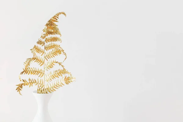 Zlatý kapradinový list na bílém hřbetě — Stock fotografie