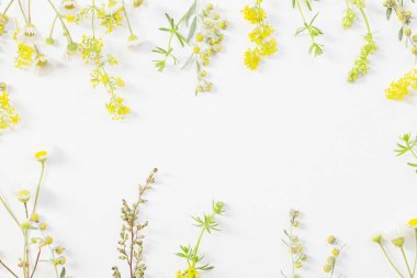 beyaz kağıt arka plan üzerinde kır çiçekleri 