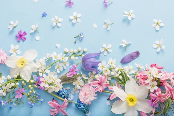 Spring flowers on paper background — Stock Photo, Image