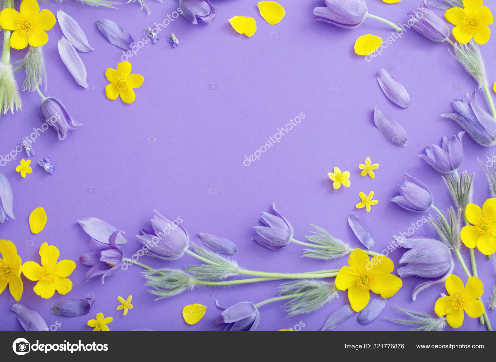 Flores de primavera púrpura y amarilla sobre fondo de papel violeta — Foto  de stock #321776876 © Kruchenkova, image size:1600x1167