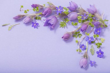 Mavi arka planda güzel bahar çiçekleri