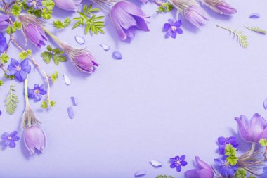 beautiful spring flowers on blue background clipart