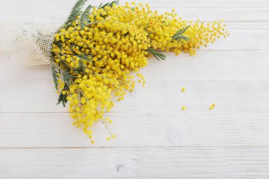 Mimoza Beyaz ahşap zemin üzerinde