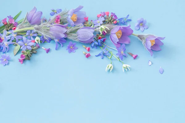 Våren blommor på blå bakgrund — Stockfoto