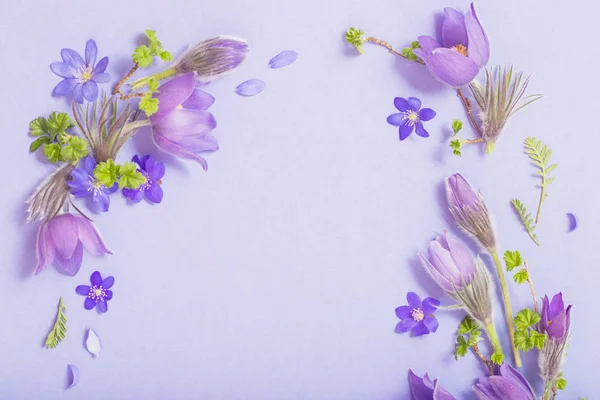 Hermosas flores de primavera sobre fondo azul — Foto de Stock