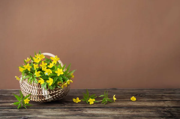 Still life with yellow spring flowers in basket — Stock Photo, Image