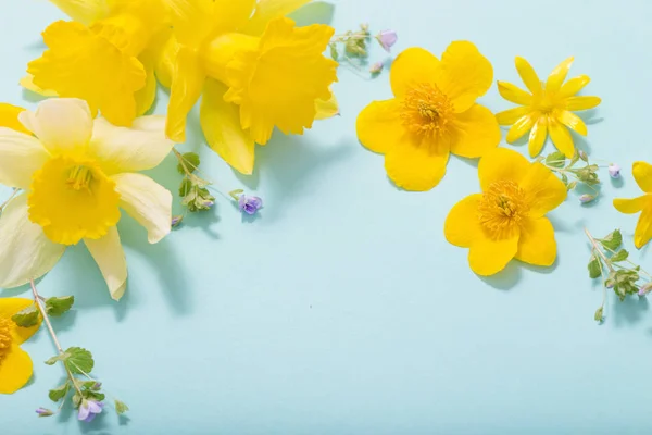 Flores de primavera sobre fondo azul —  Fotos de Stock