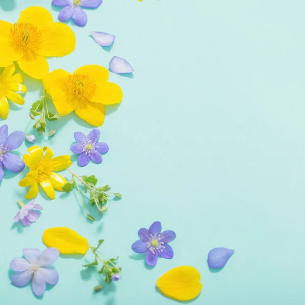 Flores de primavera sobre fondo verde —  Fotos de Stock