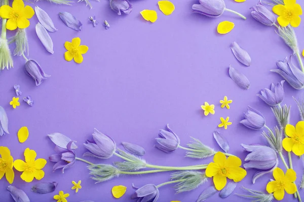 Roxo e amarelo flores de primavera no fundo de papel violeta — Fotografia de Stock