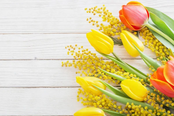 Tulipány a mimosa na bílém pozadí dřevěná — Stock fotografie
