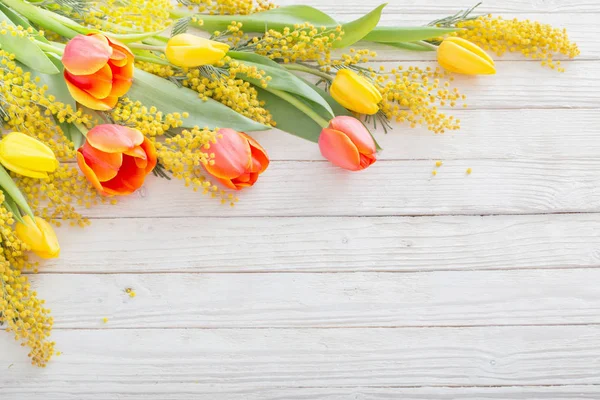 Tulipanes y mimosa sobre fondo de madera blanca —  Fotos de Stock