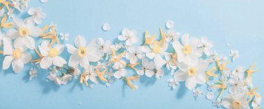 Mavi arka planda nergis ve kiraz çiçekleri