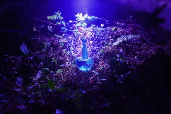 Potion magique sur bouteille en forêt — Photo