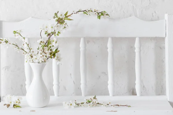 Cherry flowers in vase on white background — Stock Photo, Image