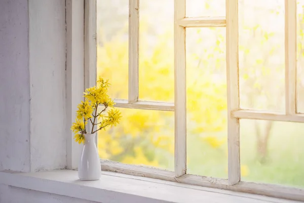 Yellow spring flowers on windowsill — Stock Photo, Image