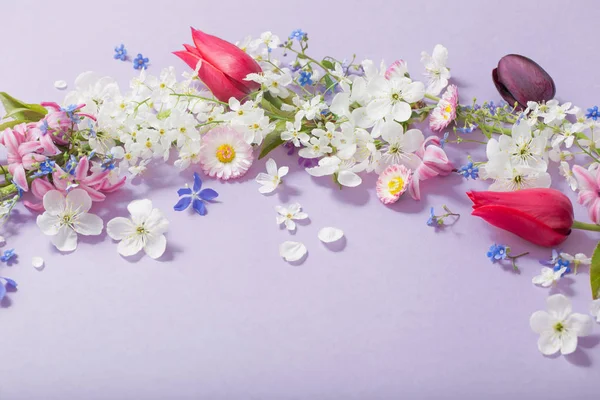 Spring flowers on paper background — Stock Photo, Image