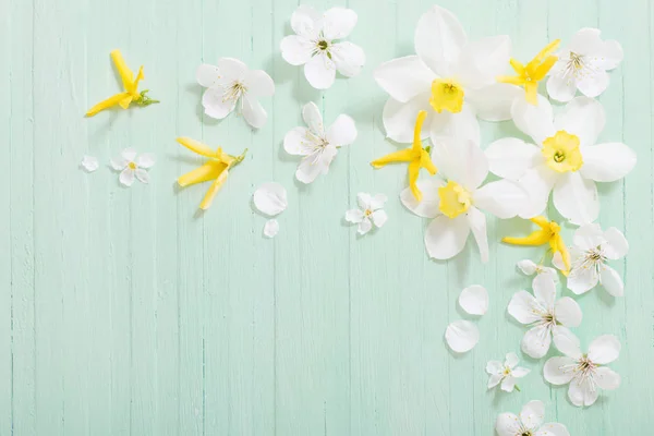 Narcisos e flores de cereja em fundo de madeira verde — Fotografia de Stock