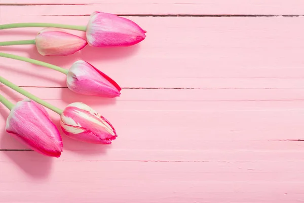 Różowe tulipany na różowym drewnianym tle — Zdjęcie stockowe