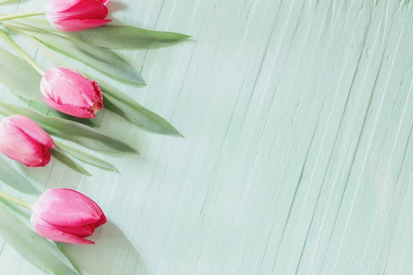 Pink tulips on green wooden background — Stock Photo, Image
