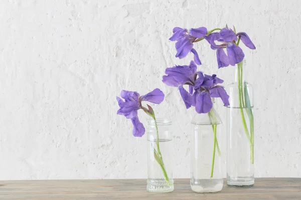 Iris en jarrón sobre fondo pared vieja blanca — Foto de Stock