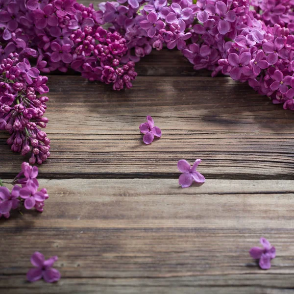 Lila sobre fondo de madera viejo —  Fotos de Stock