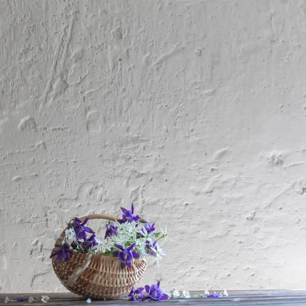 Fleurs d'été dans le panier sur fond blanc mur — Photo